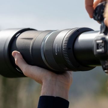 Canon RF 800mm f/11 IS STM Lens