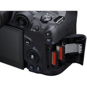 Canon EOS R7 + RF 50mm f/1.8 STM Lens