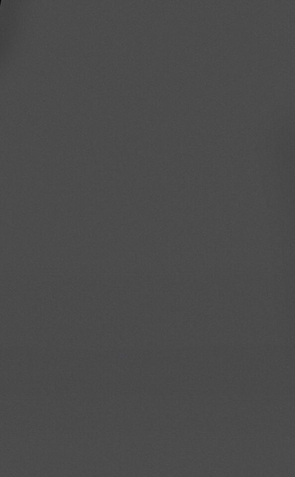 Visico Carbon Grey 2.72 x 11 Metre Fon Kağıdı