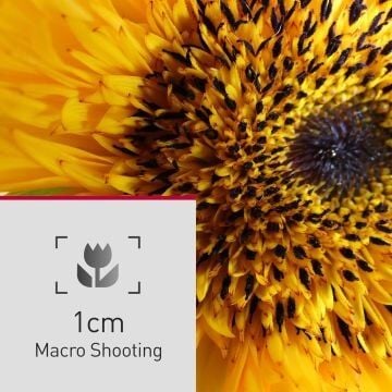 Panasonic Lumix FZ82D Dijital Fotoğraf Makinesi