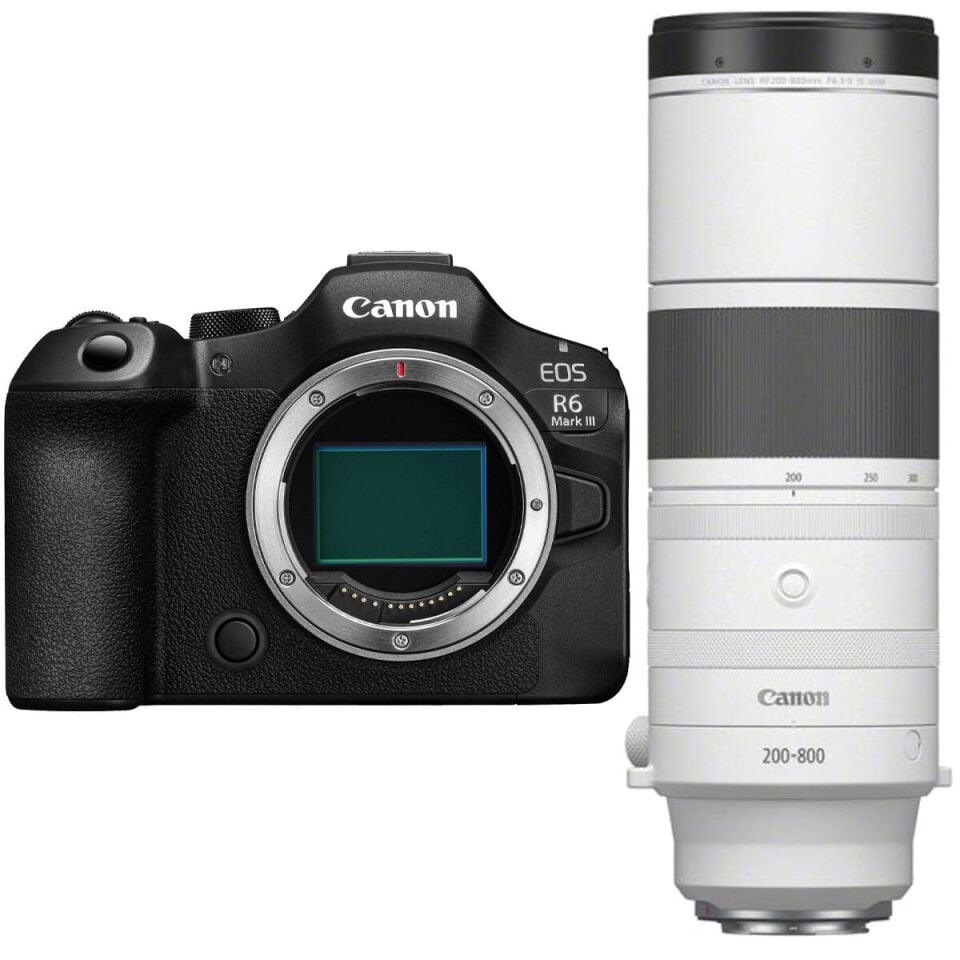 Canon EOS R6 Mark III + Canon RF 200-800mm f/6.3-9 IS USM Lens