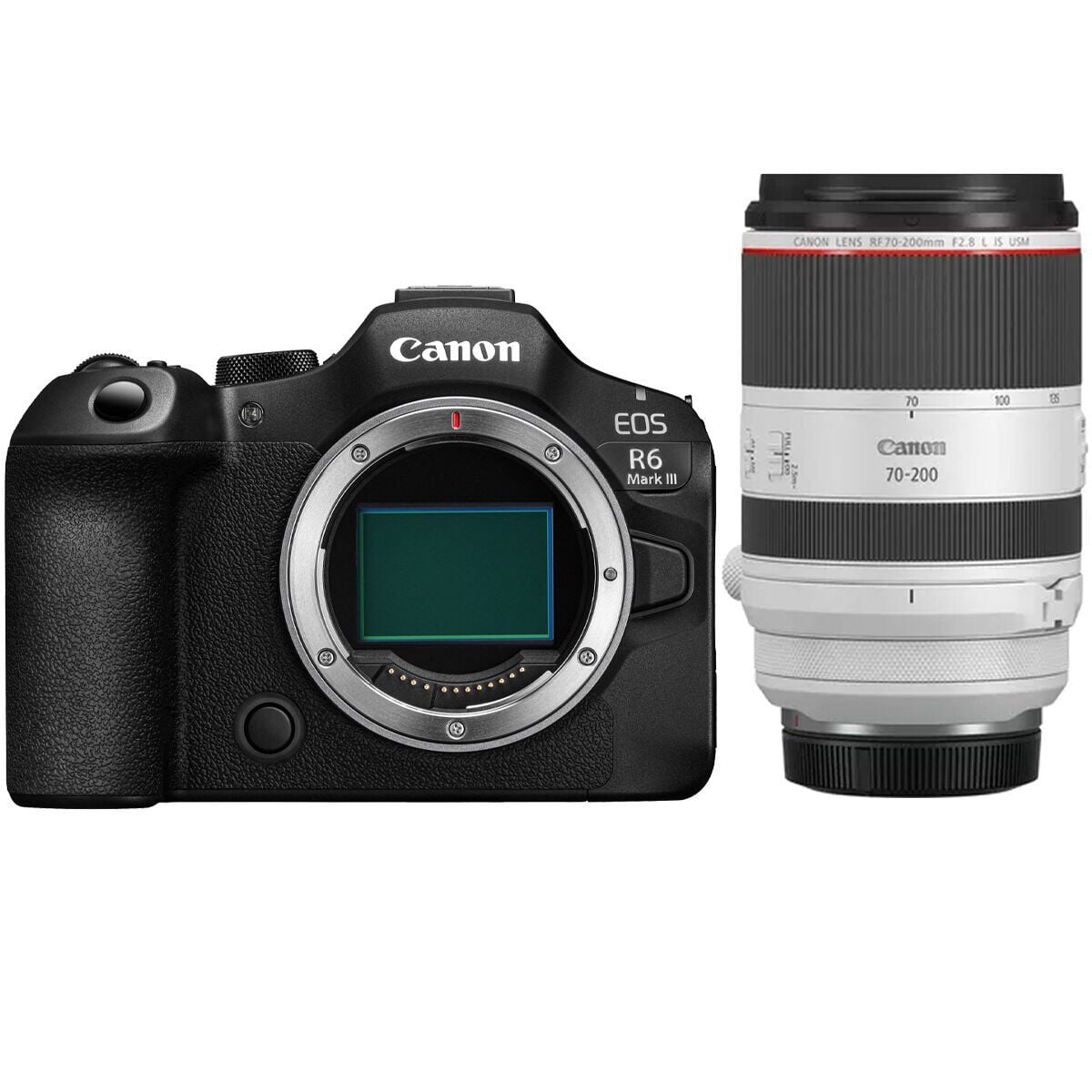 Canon EOS R6 Mark III + Canon RF 70-200mm 2.8L IS USM Lens