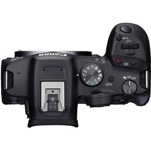 Canon EOS R7 + RF 50mm f/1.8 STM Lens
