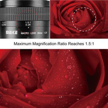 Meike MK-85mm f/2.8 Macro Lens (Micro Four Thirds)