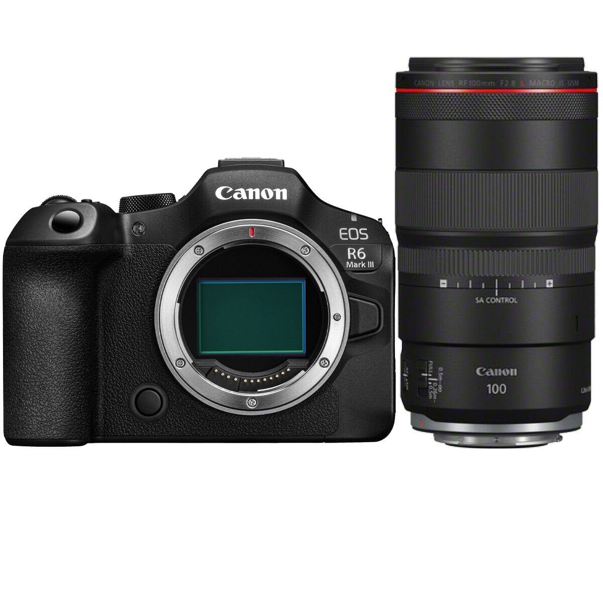 Canon EOS R6 Mark III + Canon RF 100mm f/2.8L IS USM Macro Lens