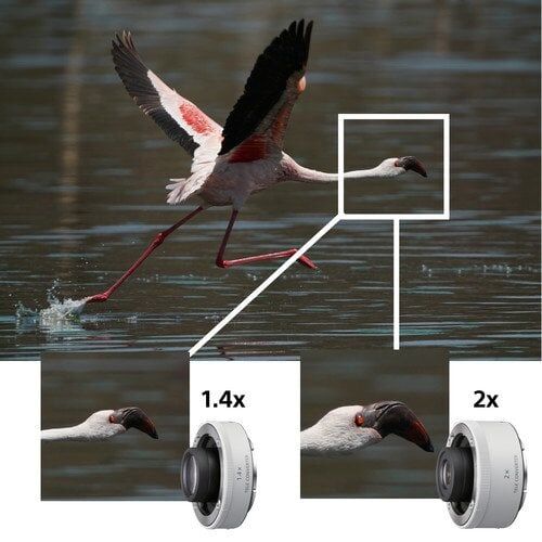 Sony FE 200-600mm f/5.6-6.3 G OSS Lens