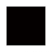 LEE - Filters Big Stopper Glass Filter