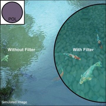 Sigma 55mm WR Circular Polarize Filtre