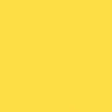 GDX Kağıt Sonsuz Stüdyo Fon Perde (Canary) 2.70x11 Metre