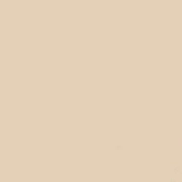 GDX Kağıt Sonsuz Stüdyo Fon Perde (Egg Nog) 2.70x11 Metre